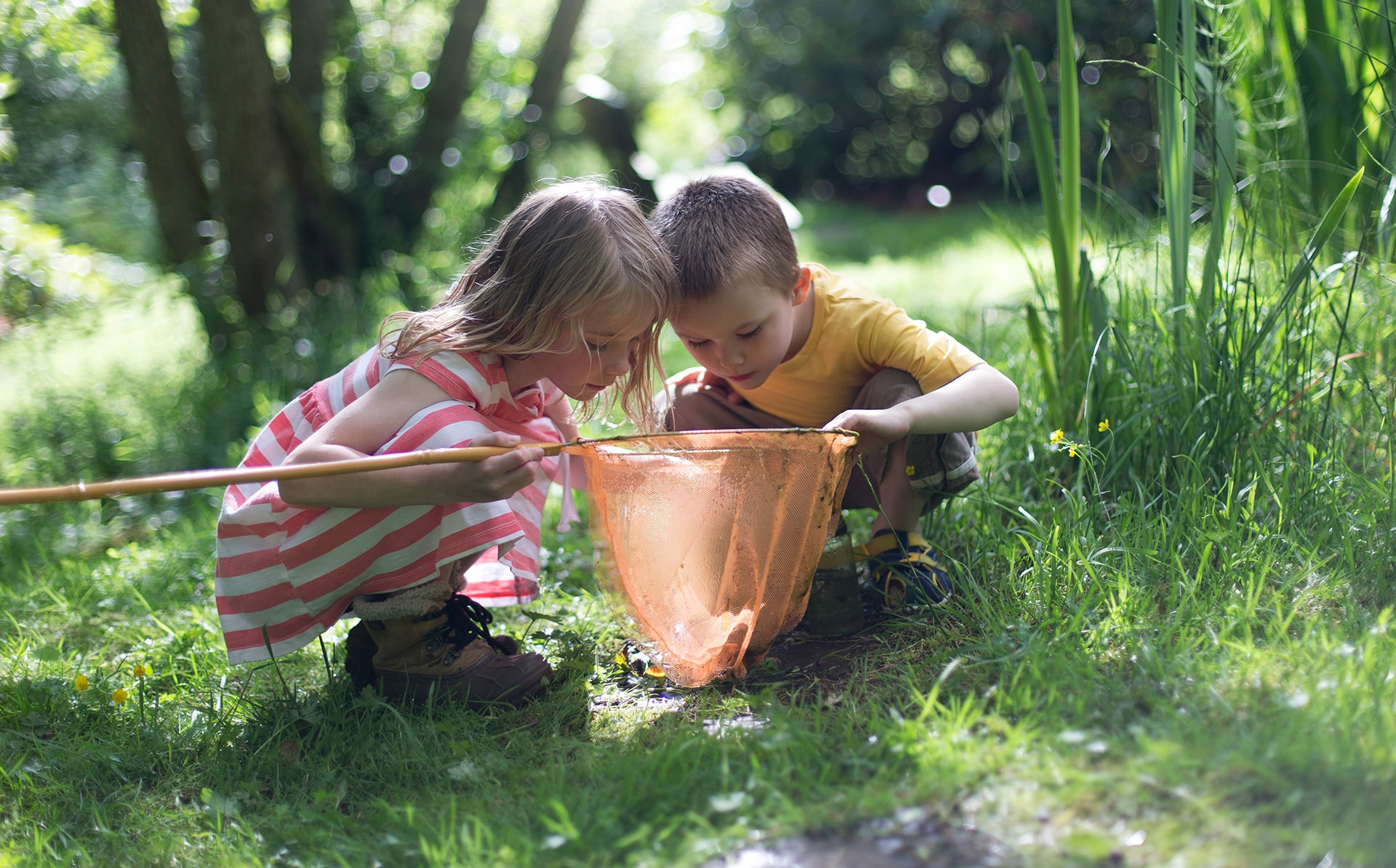 Esse Zoom afbeelding